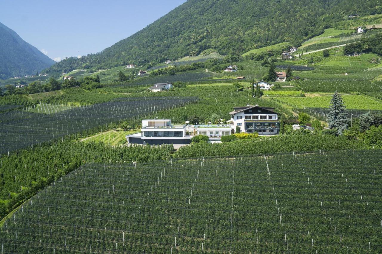 Hotel Toerggelehof 塞梅斯 外观 照片